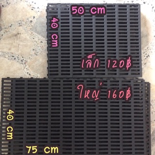 แผ่นแสลทพลาสติก รองกรง เล็ก-ใหญ่