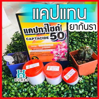 ยากันเชื้อราแคคตัส cactus ยากันรา ชนิดผง ยากันราแคปแทน (Captan - Captacide 50) ราในกระบองเพชร ไม้อวบน้ำ แคคตัส ไม้ประดับ