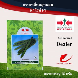 เมล็ดพันธุ์ บวบเหลี่ยมฟาโรห์ 10g