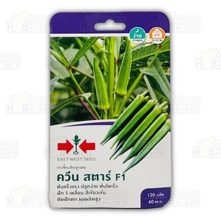 🌱 ศรแดง 🇹🇭 กระเจี๊ยบ ควีน สตาร์ F1 ขนาดบรรจุประมาณ 120 เมล็ด อายุเก็บเกี่ยว 50-55 วัน