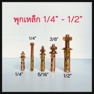 พุกเหล็ก พุ๊กเหล็ก ขนาด1/4” 5/16” 3/8” 1/2” พุกเหล็ก 1/4”แบบยาว