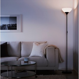 โคมไฟตั้งพื้น NOT Floor uplighter/reading lamp สูง 175 cm