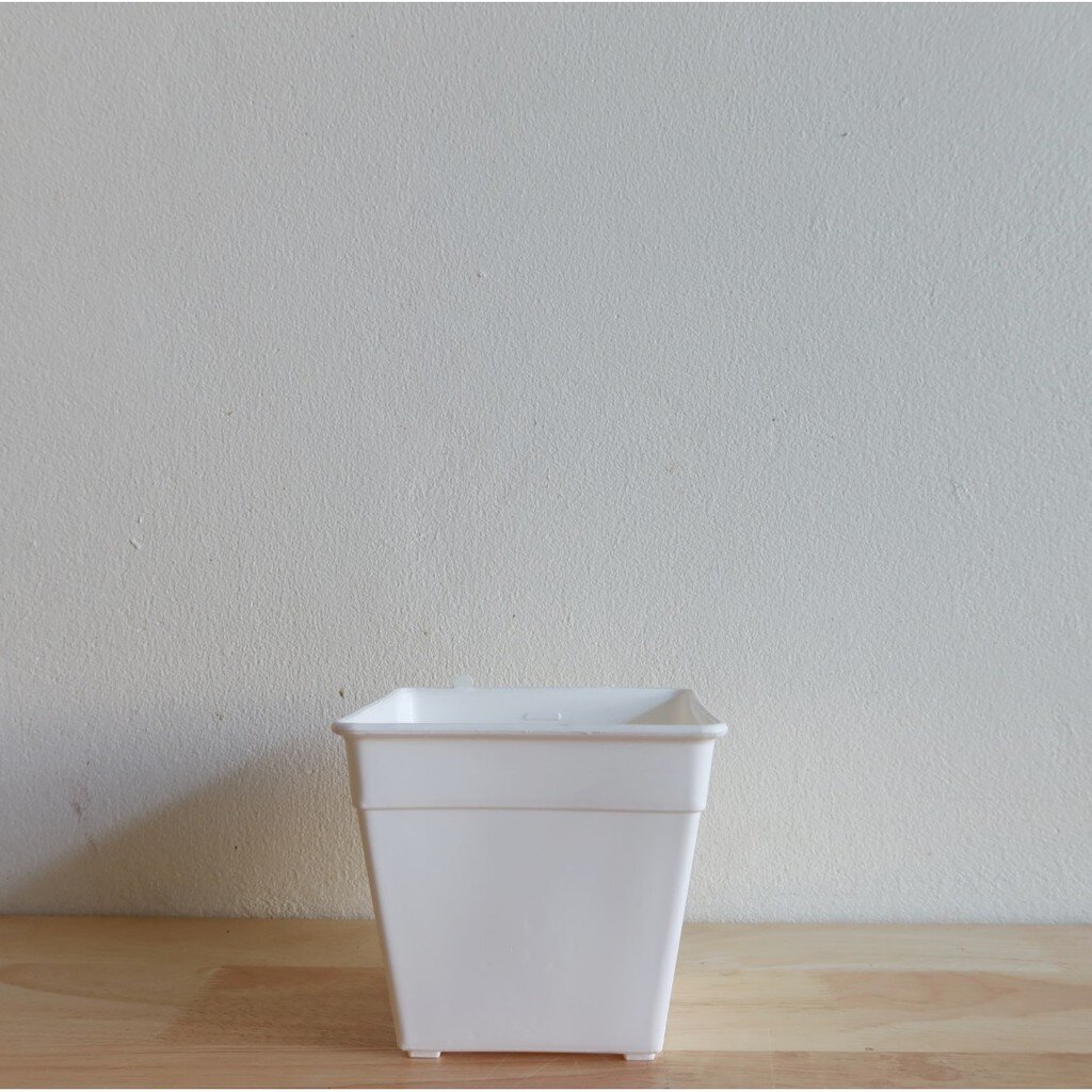 มุมมอง 2