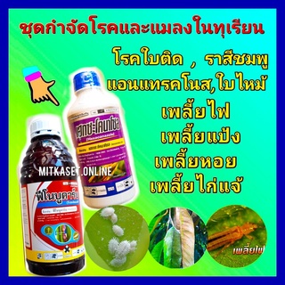 ชุด กำจัดโรคและแมลงในทุเรียน กำจัดเพลี้ย กำจัดเชื้อรา ฟีโนบูคาร์บ 1 ลิตร + เฮกซะโคลนาโซล 1ลิตร เพลี้ยแป้ง เพลี้ยไฟ ใบติด