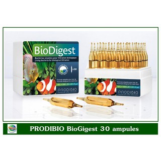 PRODIBIO BioDigest แบคทีเรียช่วยย่อยสลายแอมโมเนีย ไนเตรต และไนไตรท์ ขนาด 30 หลอด Bateria Reduce Ammonia Nitrite Nitrate