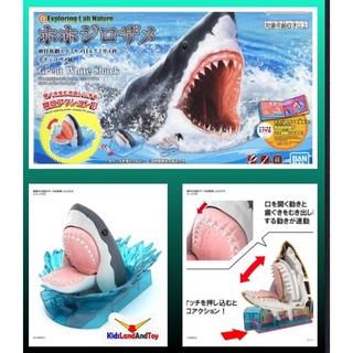 4573102633927 EXPLORING LAB NATURE GREAT WHITE SHARK