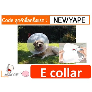 E Collar คอลล่าร์ ปลอกคอกันเลีย สุนัขและแมว