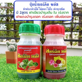 ออร์คิดพลัส 270ml มี 2สูตร บำรุงต้น ใบ ราก, บำรุงดอก เร่งดอก เพิ่มช่อดอก เร่งการเจริญเติบโต ดอกผลสมบูรณ์