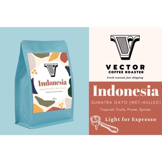 VECTOR:Indonesia sumatra gayo คั่วสำหรับชงเอสเพรสโซ่