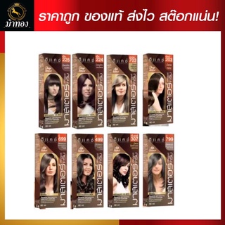 [โทนน้ำตาล] Dcash ดีแคช โปรเฟสชันนอล มาสเตอร์ คัลเลอร์ ครีม 60g [Brown Tone] Professional Master Color Cream #ย้อมสีผม