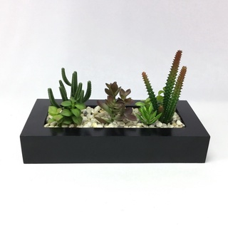 OrientalFineArt  สวนพืชจำลอง สวนกระบองเพชรจำลอง สวนจิ๋ว Cactus plant เหมือนของจริง(T16-1262-59170-N)