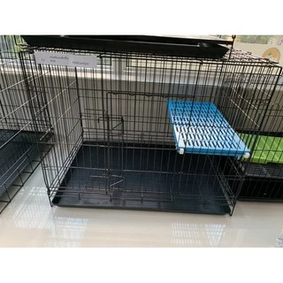 พร้อมส่ง! มีของแถม ชั้นนอนแมว ติดตั้งในกรง และ กรงแมว ชั้นกระโดด คอนโดแมว