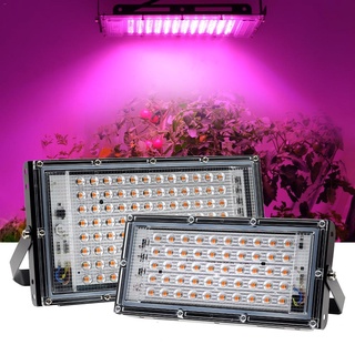 จัดส่งทันที 220V Full Spectrum LED Grow Light 50W/100W ไฟปลุกต้นไม้ ไฟช่วยต้นไม้ตัวเร็ว มีสวิตช์ปิดเปิด สายไฟยาว1.5โมตร