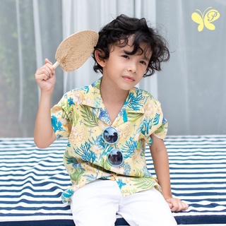 Papillon Boy Cotton Blend Summer Shirt เสื้อเชิ้ต แฟชั่นเด็กผู้ชาย