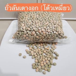 เมล็ดโต้วเหมี่ยวงอก หรือถั่วลันเตา 300-1000 กรัม เมล็ดใหญ่ มีความแห้ง ลดการเกิดเชื้อราระหว่างการเพาะ