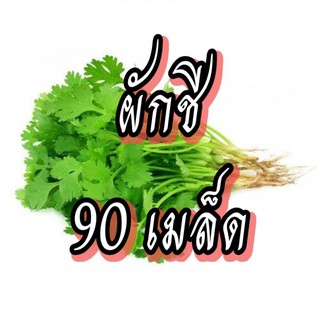 เมล็ดผักชี เมล็ดผักสวนครัว เมล็ดผัก5บาท