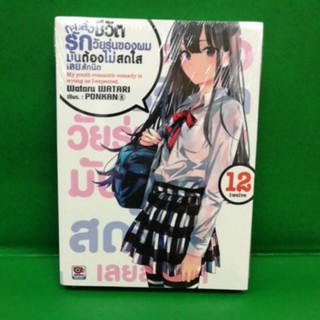 กะแล้วชีวิตรักวัยรุ่นของผมมันต้องไม่สดใสเลยสักนิด (LN) เล่ม 12