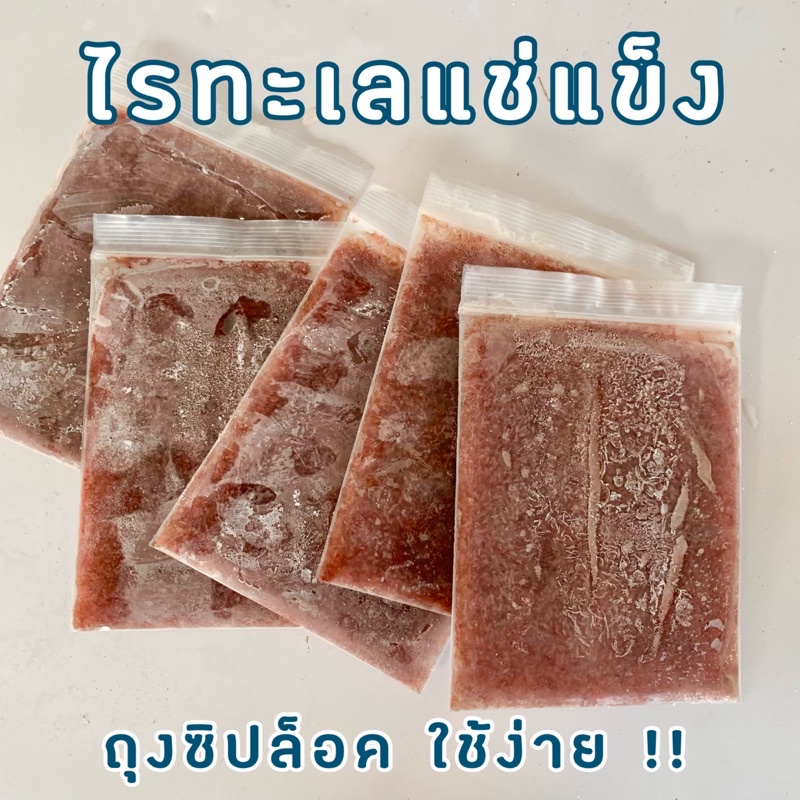 ไรทะเลแช่แข็ง ไรน้ำเค็มแช่แข็ง 🐠 อาหารปลาสวยงาม โปรตีนสูง พร้อมส่ง สด ใหม่ สะอาด ⚠️