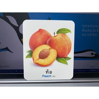 ห้องเรียน Flash Card บัตรภาพ บัตรคำศัพท์ ผลไม้ บรรจุบัตรภาพ 32 ใบ คำศัพท์ ภาษา ไทย - อังกฤษ