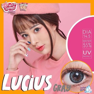 Lucius gray พร้อมส่งค่าสายตา (Kittykawaii)