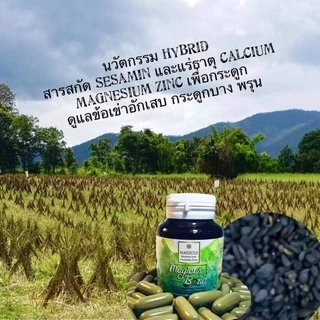 Magicus bond (มาจิคัส บอนด์) น้ำมันงาสกัดเย็น 🔹อุดมด้วยแร่ธาติ และสารสำคัญในเรื่องกระดูกและข้อ🔹น้ำมันงาปลอดสารพิษ
