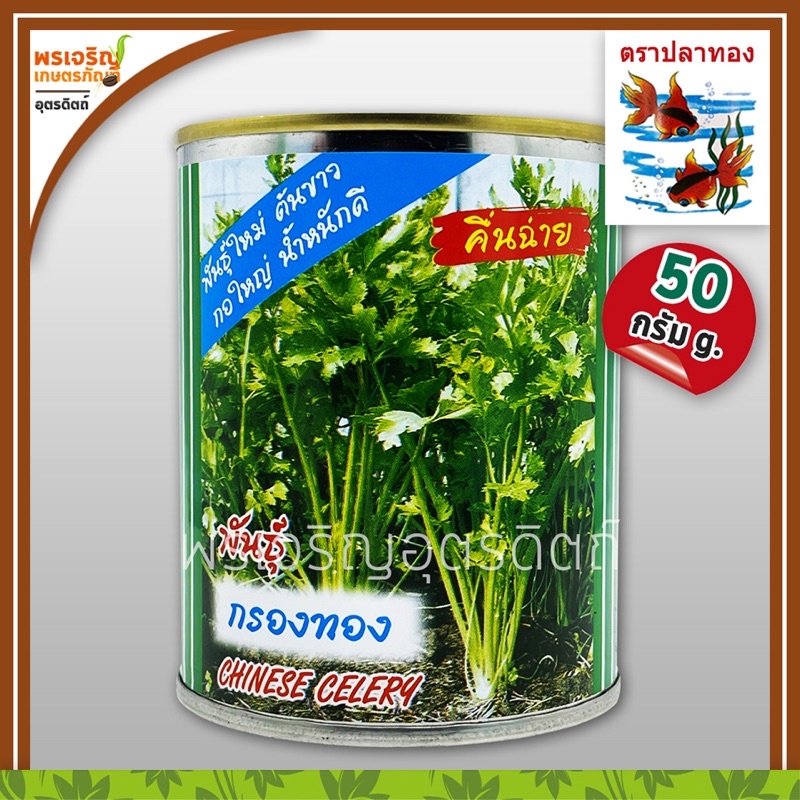 เมล็ดพันธุ์ขึ้นฉ่าย คื่นฉ่ายต้นขาว กรองทอง (50 กรัม) เมล็ดคื่นฉ่ายปลาทอง เมล็ดคื่นช่าย เมล็ดพันธุ์ผักสวนครัว ตราปลาทอง