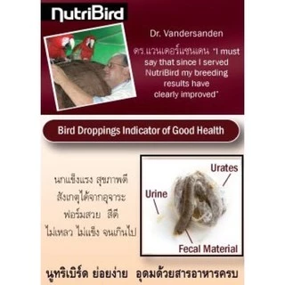 Nutribird A21,A19,Kay tee และ Psittacus Miniอาหารลูกป้อน อาหารนกสำหรับ ลูกนกทุกสายพันธ์ุ แบ่งขาย ฝาเขียว นูทรีเบิร์ด