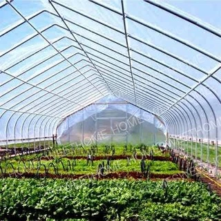 [โค้ดPSK49ลด25%] *ค่าส่งถูก* พลาสติกคลุมโรงเรือน greenhouse หน้ากว้าง 3.6 / 4 / 5เมตร หนา 80,120,150,200 ไมครอน