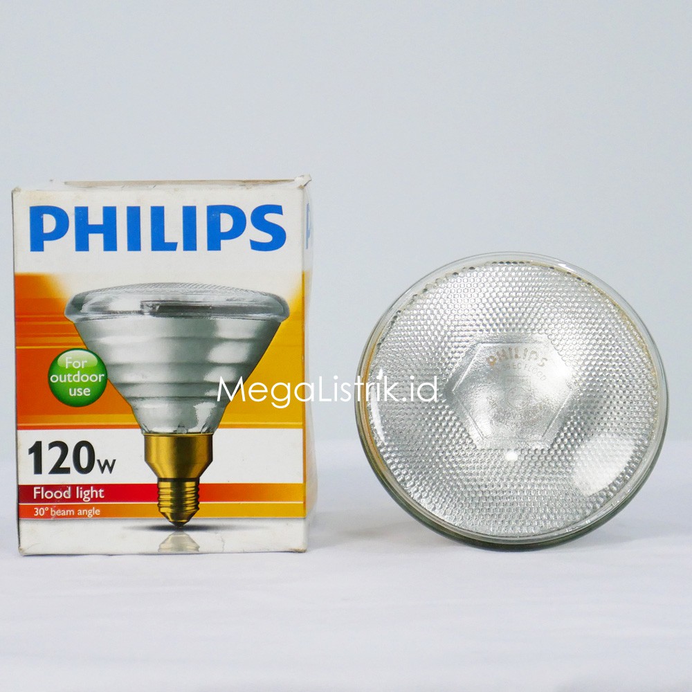 Philips Floodlight/OUTDOOR FLOOD LIGHT PAR38 120watt/120W CLEAR E27