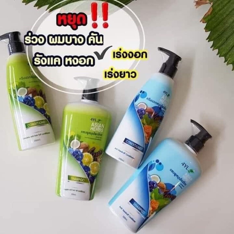 แชมพูสมุนไพรไทย4YLแท้