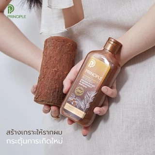แชมพูสมุนไพร Principle พริ้นซิเพิล มะหาด โรสแมรี่ ผมงอกใหม่ แชมพูลดผมร่วง ไม่มีซิลิโคน ไม่มีพาราเบน
