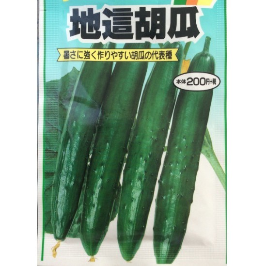 เมล็ดพันธุ์แตงกวาญี่ปุ่นโตคิวะ Tokiwa Japanese Cucumber แบ่งขายซองละ 40 เมล็ด Shopee Thailand 7612