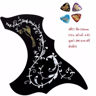 ปิ๊กการ์ด Pick Guard กีตาร์โปร่ง GIBSON USA.1ดำฟรี!!! ปิค Gibson USA.  4 ตัว มูลค่า 250 บาท ฟรีทันที!!! -