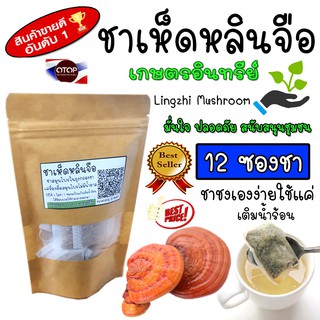 เห็ดหลินจืด Lingzhi Mushroom ชาเห็ดหลินจือ เห็ดหลินจืดในถุงกรองชา ไม่มีน้ำตาล