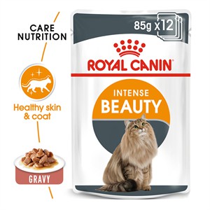 Royal canin อาหารแมวเปียกแบบซอง