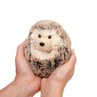 Douglas Spunky Hedgehog, Small - ตุ๊กตานิ่มเม่นแคระ สปั๊งกี้ ขนาดเล็ก สูง 5 นิ้ว