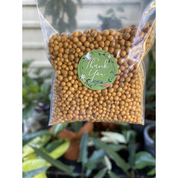 🪴ปุ๋ยออสโมโค้ท สูตรเสมอ 16-16-16 แบ่งขาย 100 กรัม🪴