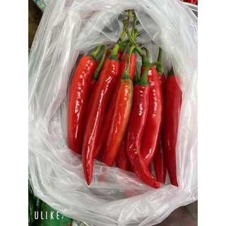 (สดใหม่ทุกวัน) 🌶พริกชี้ฟ้าแดง🌶