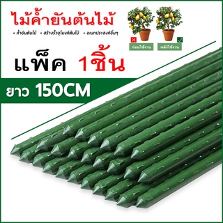 ไม้ค้ำต้นไม้ ไม้หลัก เสาค้ำต้นไม้ ไม้ค้ำยันต้นไม้ 60.90.120.150.180 cm.ซุ้มไม้เลื้อย เสาไม้เลื้อย กรงพืช หลักไม้เลื้อย