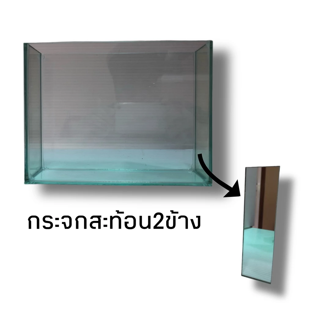 โหลถ่ายรูปปลากัด แถมฟรี!!อาหารปลากัด ขนาด2x8x6 กระจก3มิล สินค้ามีประกัน พร้อมส่ง!! thumbnail 5
