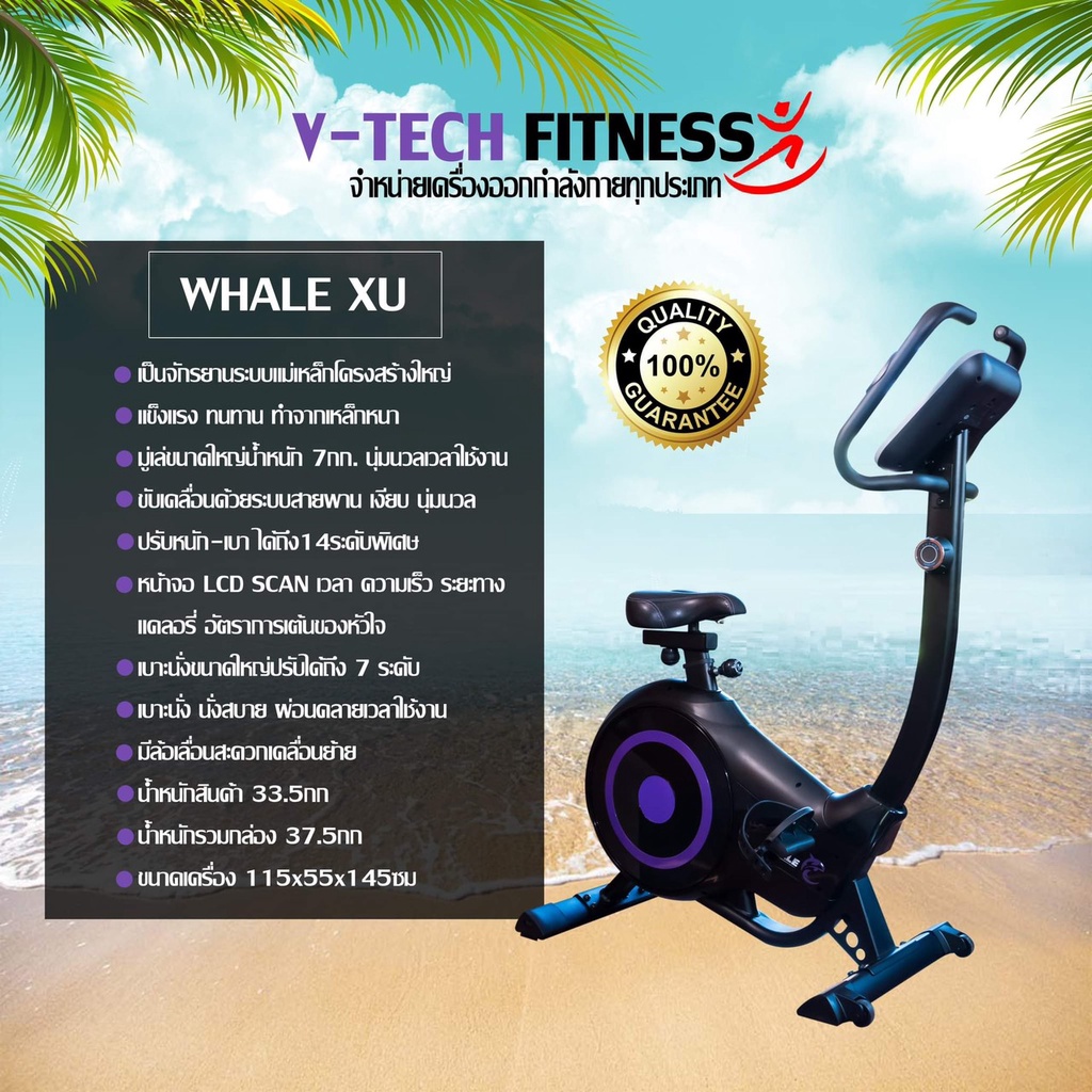 จักรยานนั่งปั่น V-TECH รุ่น WHALE-XU