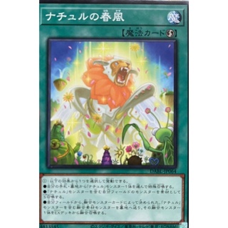 [DABL-JP064] Naturia Spring Breeze (Common)