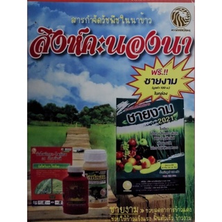 ฆ่าหญ้าในนาข้าว สิงห์คะนองนา ฟรีชายงาม