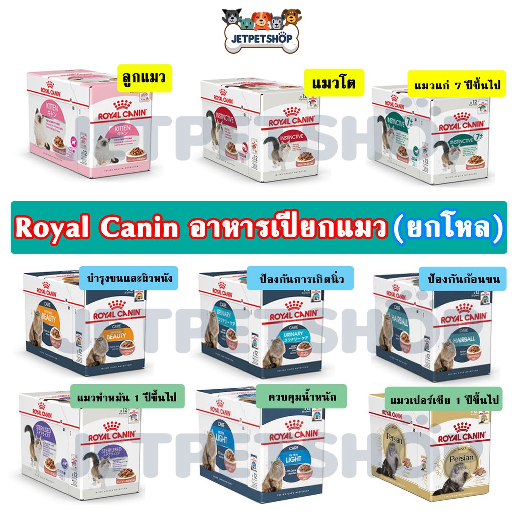 Royal canin โรยัล คานิน อาหารเปียกแมว โหล 12 ซอง