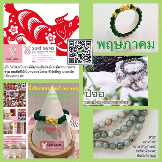 ปี่เซียะ Suri Gems ปีจอ