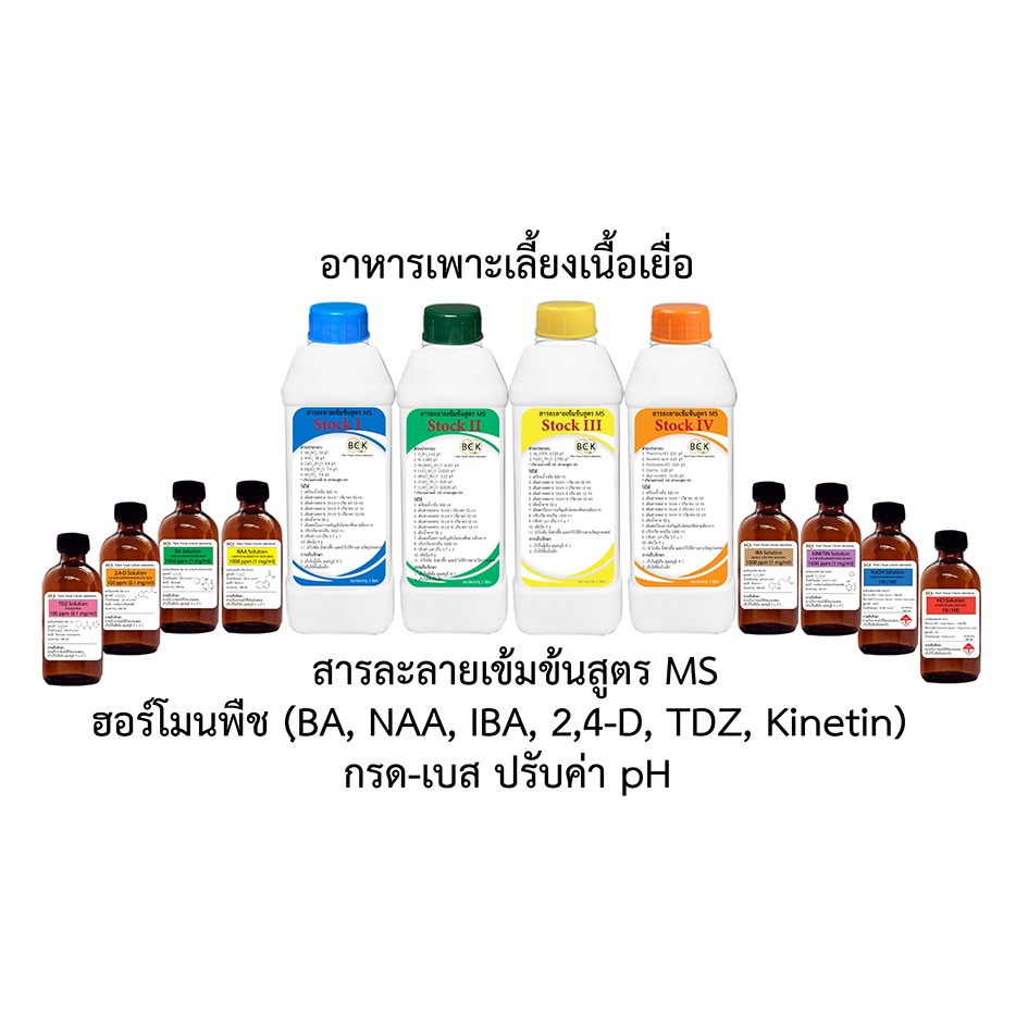 อาหารเพาะเลี้ยงเนื้อเยื่อพืช สารละลายเข้มข้น MS medium, ฮอร์โมนพืช (BA, NAA, IBA, TDZ, Kinetin 2,4-D), กรด-เบส
