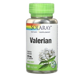 รากวาเลอเรี่ยน, Valerian Root 100 Capsule