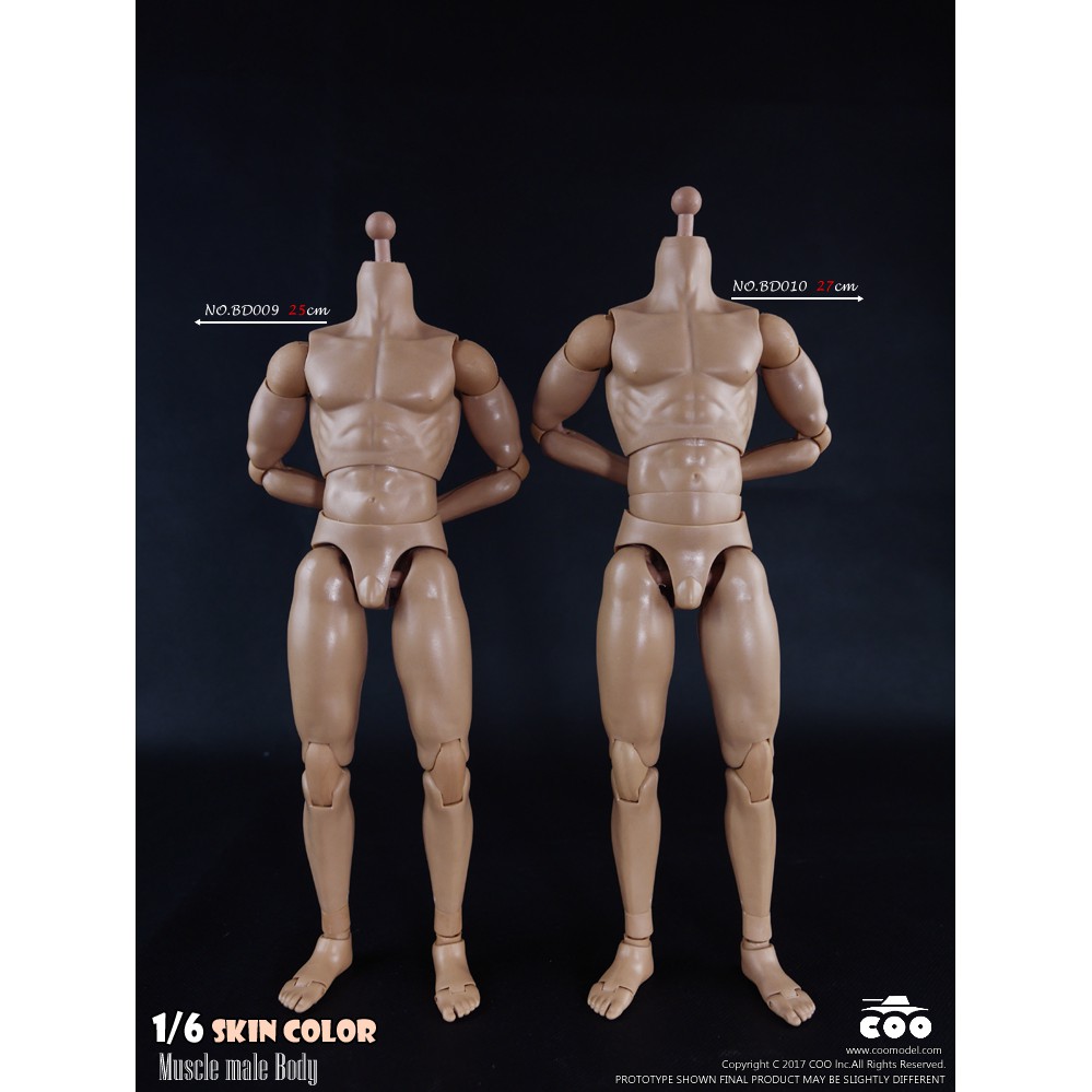 ฟิกเกอร์ โมเดล ของสะสม งานแบช COOMODEL BD009 / BD010 Standard & High Standard Muscle Arm Body