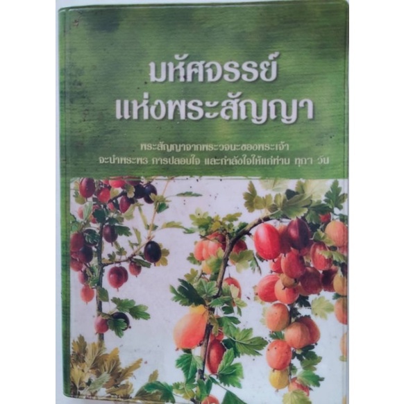มหัศจรรย์แห่งพระสัญญา ในพระคัมภีร์มีพระสัญญาของพระเจ้ามากมาย หากเราเชื่อและทำตาม ก็จะเห็นการอัศจรรย์