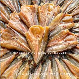 ปลาดุกแดดเดียว สูตรเค็มน้อย 4-5 ตัว 500 กรัม กรอบยันหาง